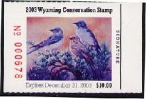 Mountain bluebird (Sialia currucoides)