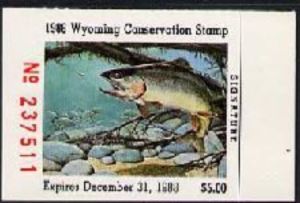 Brown trout (Salmo trutta)