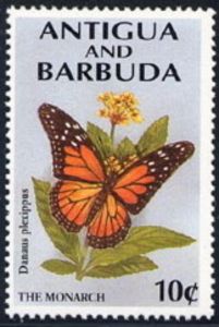 Monarch Butterfly (Danaus plexippus)