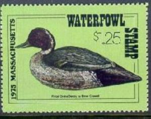 Northern pintail (Anas acuta) decoy