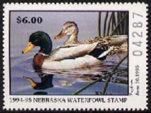 Mallard (Anas platyrhynchos)