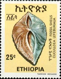 (Cuculloea lefeburiana)