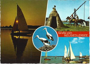 Grüße vom Neusiedlersee