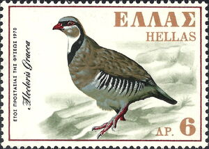 Rock Partridge (Alectoris graeca)