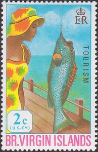 Tourist and Yellow-finned Grouper (Epinephelus sp.)