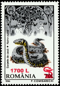 Grass Snake (Natrix natrix), Adam and Eve - Surcharged