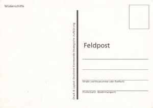 Ships of the desert. Camels