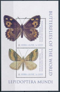 Lepidoptera Mundi