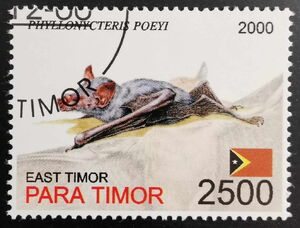 Stamp Phyllonycteris Poeyi (East Timor Illegal Stamps(Bats (2000