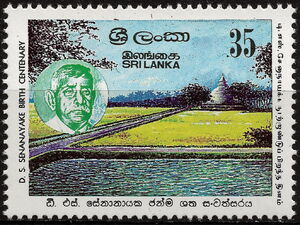 Senanayake, Temple & Fields