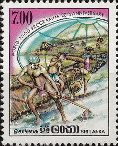 20th Anniversary of World Food Programme