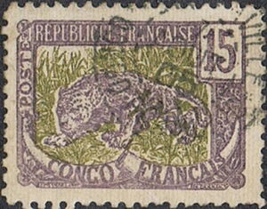 Leopard (Panthera pardus)