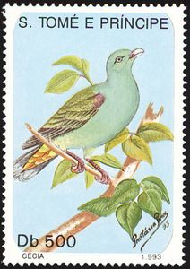 Sao Tomé Green Pigeon (Treron sanctithomae)