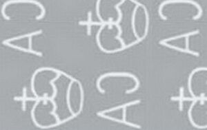 Tourist and Yellow-finned Grouper (Epinephelus sp.)