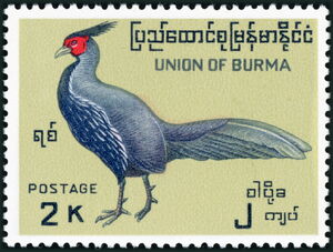 Lineated Kalij Stamp: Lineated Kalij Pheasant (Lophura leucomelanos) (Burma(Birds) Mi ...