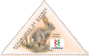 Brush Rabbit (Sylvilagus bachmani)