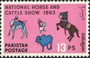 Dancing  Horse, Camel & Bull