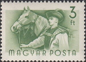 Horse (Equus ferus caballus) and Groom