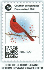 Red Cardinal