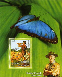 Butterflies and Scouts Baden Powell