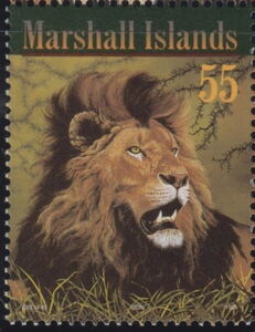 Lion (Panthera leo)