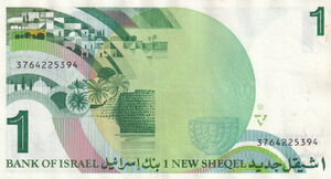 1 New Sheqel