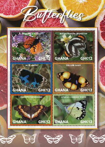 Colnect Item Picture