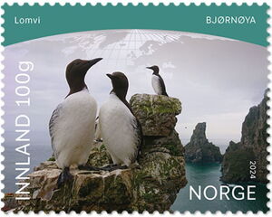 Common Murre (Uria aalge)