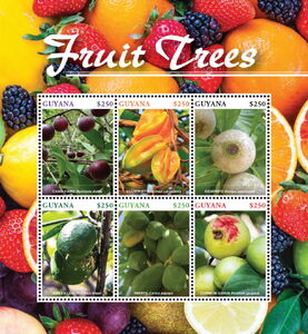 Fruit Trees