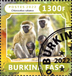 50 Different Monkey Stamps Collection - Fun & Colorful Animal Themed Stamps For Collectors