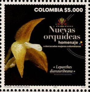 Lepanthes gloriagaleanoana