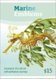 Leafy Seadragon (Phycodurus eques)