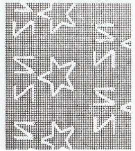 Titoki / New Zealand Oak (Alectryon excelsus)