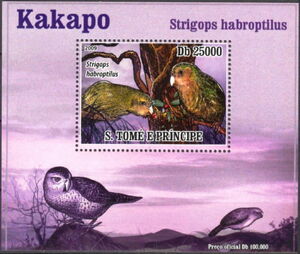 Birds Kakapo Parrots