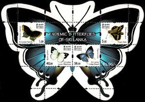 Endemic Butterflies of Sri Lanka