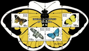 Endemic Butterflies of Sri Lanka