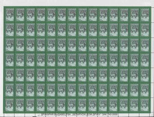 European Bison (Bos bonasus)