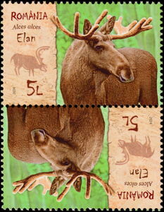 Stamp: Moose (Alces alces) (Romania(Extinct Species from the Fauna of ...