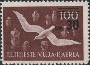 European Herring Gull (Larus argentatus)