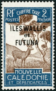 Javan Rusa (Rusa timorensis) overprinted