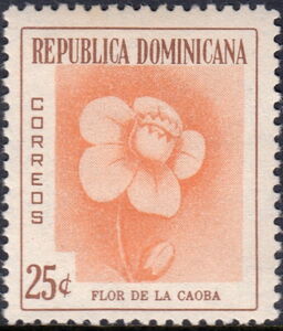 Mahogany Flower (Caoba)