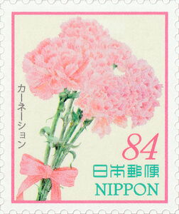 Carnations