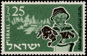 Boy and Lamb - Agricultural Training