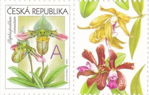 Greeting-Stamp Motif - Orchids - A