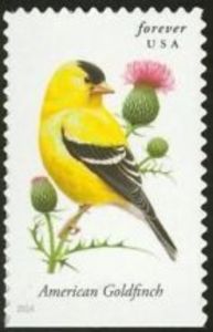 Stamp: American Goldfinch (Carduelis tristis) (United States of America