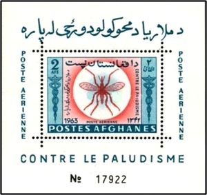 Anopheles Mosquito (Anopheles sp.)