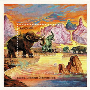 Mammoth (Mammuthus sp.)