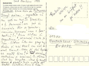 Brazilian Flora. H. Stern's Workshop