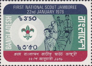 Scout stretcher team