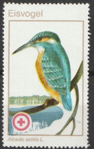 Red Cross Birds - Alcedo atthis